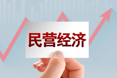 《中共中央、國務院關(guān)于促進民營經(jīng)濟發(fā)展壯大的意見》